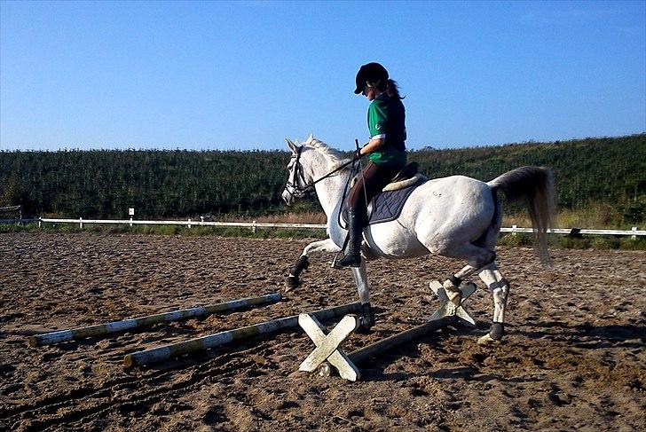 Anden særlig race | Elajka <3 *Rider* - Traveglade Elajka.. <3 Tak for kigget! :D | Foto: Far <3 billede 20