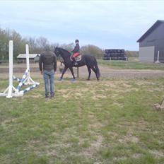 Oldenborg Møllevangs Lucky ( aflivet )