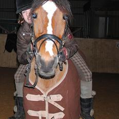 DSP » Malou. -  SOLGT!