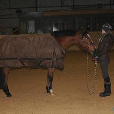 DSP » Malou. -  SOLGT!