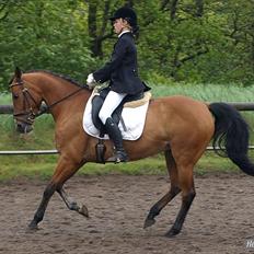 DSP » Malou. -  SOLGT!