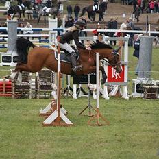 DSP Kronhedens Palova B-pony