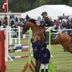 DSP Kronhedens Palova B-pony