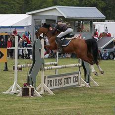 DSP Kronhedens Palova B-pony