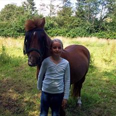 Anden særlig race Baron