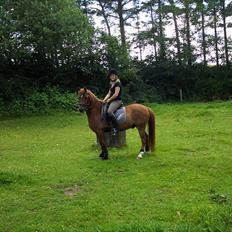 Anden særlig race Baron