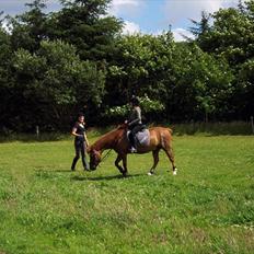 Anden særlig race Baron