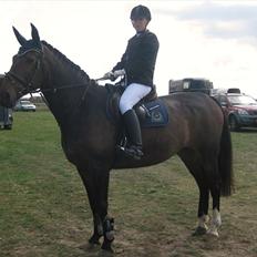 Anden særlig race Tacha af tofthøj mølle. 