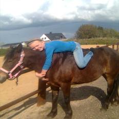 Anden særlig race Bonnie