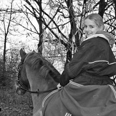 New Forest Simba Grisen <333333