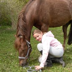 New Forest Simba Grisen <333333