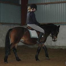 Anden særlig race May Day<3*Gml.part&solgt*