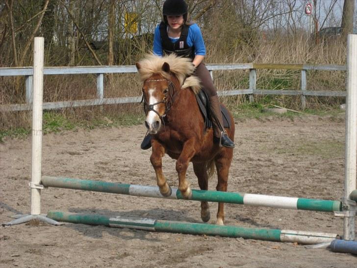 Anden særlig race Sasha DEN SAVNEDE<3 billede 7