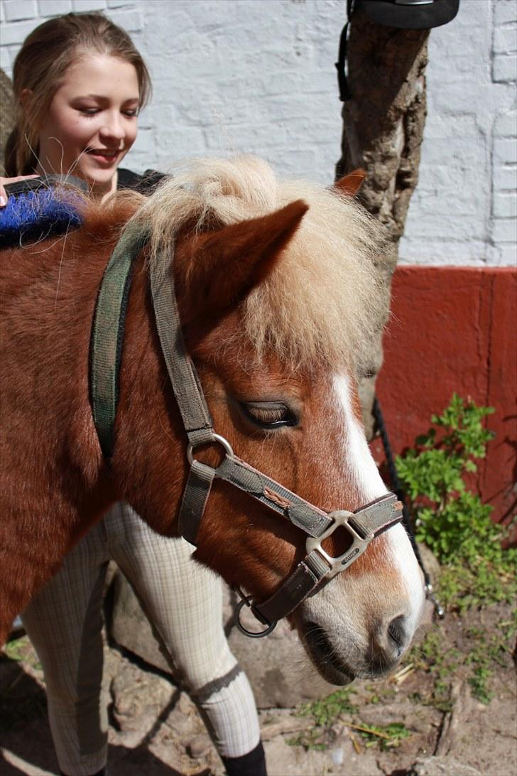 Anden særlig race Sasha DEN SAVNEDE<3 billede 10