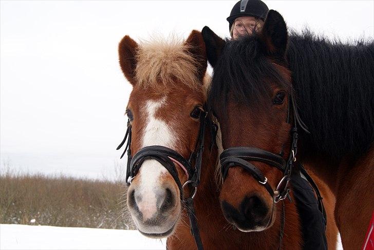 Anden særlig race Sasha DEN SAVNEDE<3 - Sasha og Cassi (-: <3 billede 11