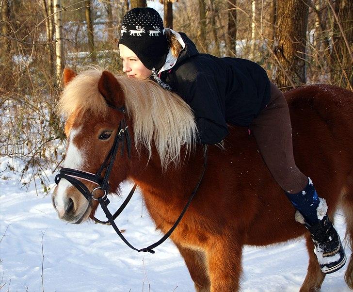 Anden særlig race Sasha DEN SAVNEDE<3 - Your simply the best!<3 Nytårs dag 10/11 billede 12