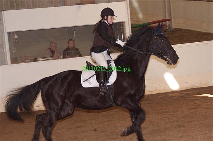 Oldenborg Møllevangs Lucky ( aflivet ) billede 4