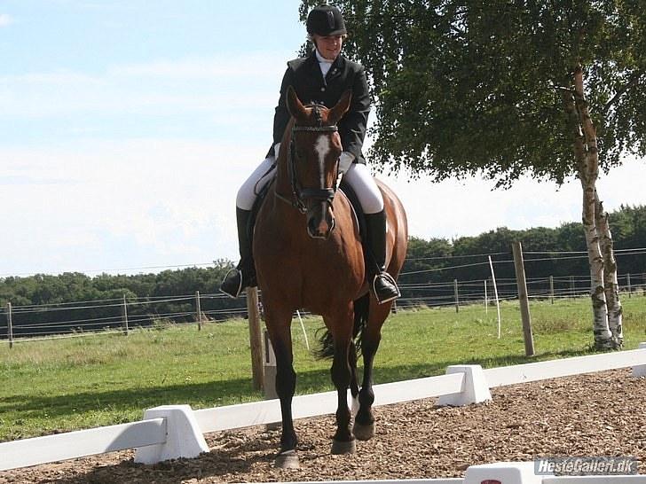 Oldenborg Evita Rosenager <3 - Vores første LC1. <3 foto: Louise. billede 9