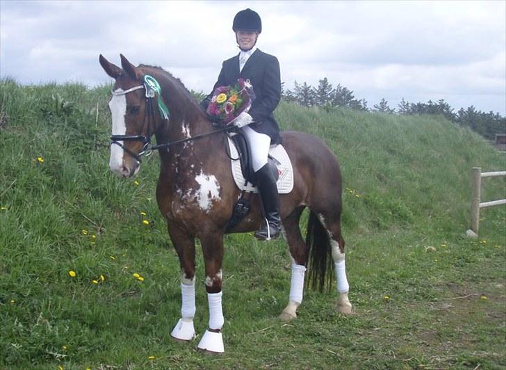 Hollandsk Varmblod Lisa - SJM 2010 billede 9