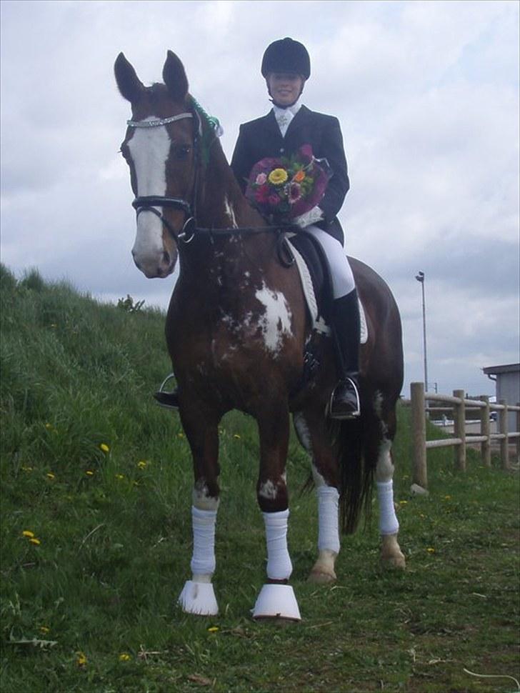 Hollandsk Varmblod Lisa - SJM 2010 billede 10