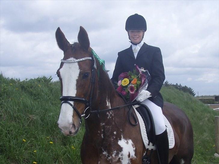 Hollandsk Varmblod Lisa - SJM 2010 billede 11