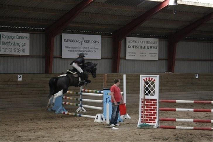 Pinto UNICORDE - Taget af Anja Andersen (: billede 3