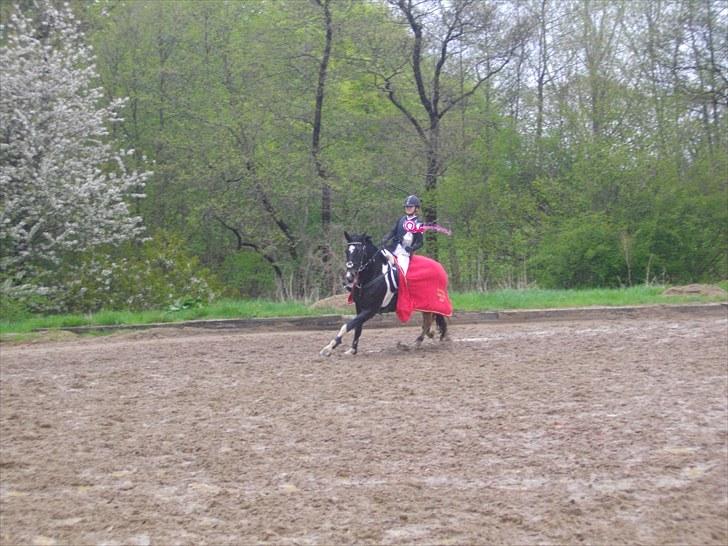 Pinto UNICORDE - Taget af Anja Andersen (: billede 6