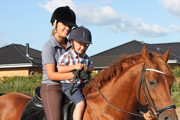 DSP Golden Empire - 2010. billede 7