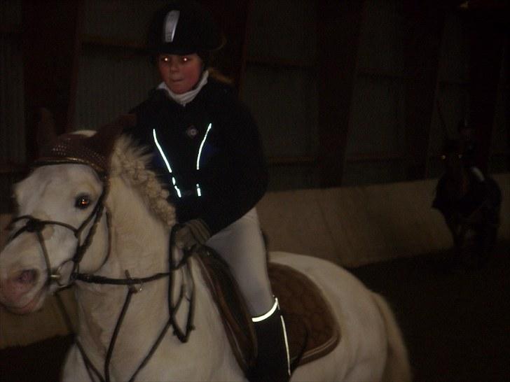 Connemara walentin billede 4