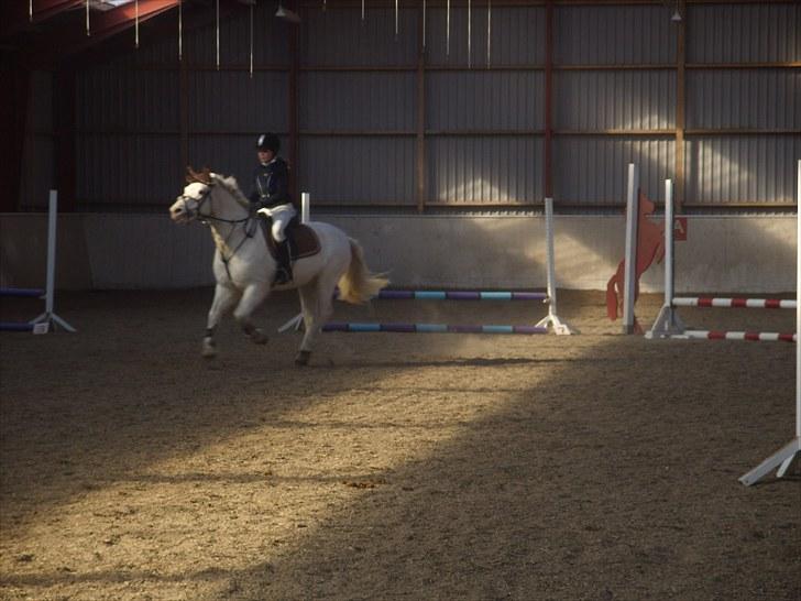 Connemara walentin billede 5