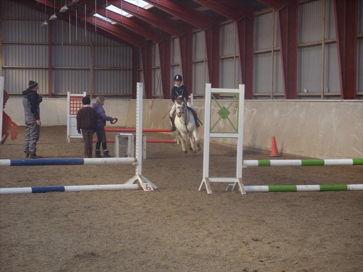 Connemara walentin billede 6