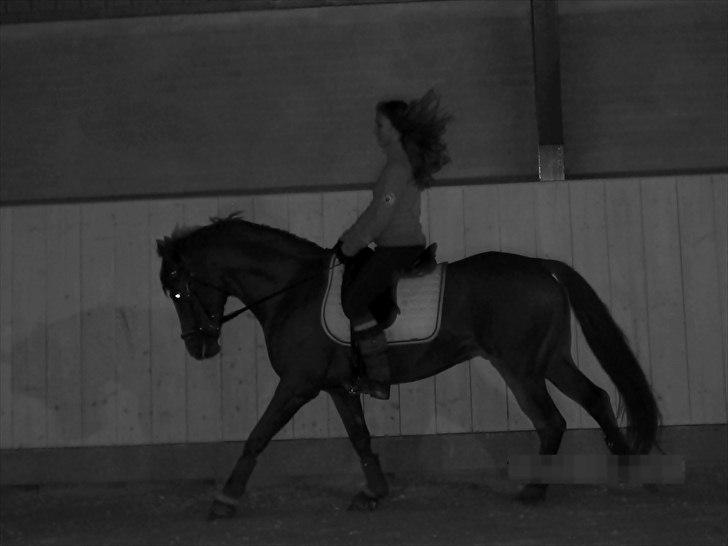 DSP Golden Empire - 2011. billede 10