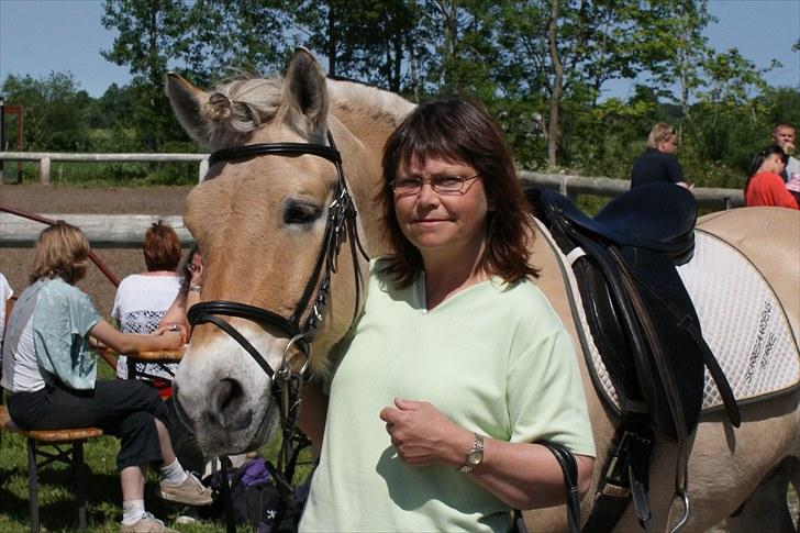 Fjordhest Skarregaardens Bjarke - Min mor klapper lige Bjarke, efter et godt program. billede 5