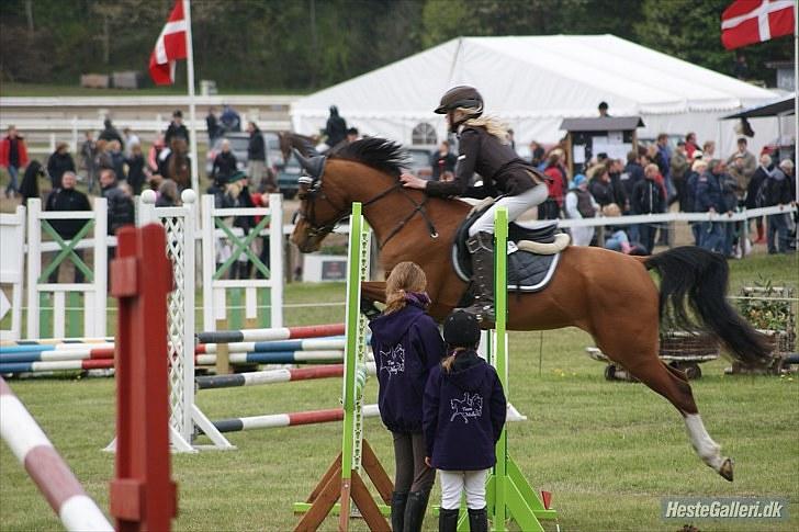 DSP Kronhedens Palova B-pony billede 2