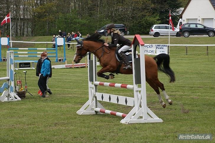 DSP Kronhedens Palova B-pony billede 5