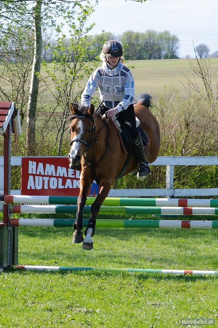 DSP Kronhedens Palova B-pony billede 12