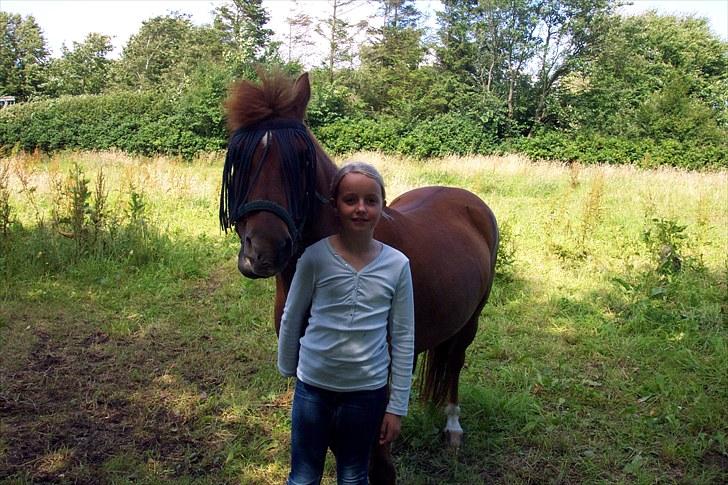 Anden særlig race Baron billede 1