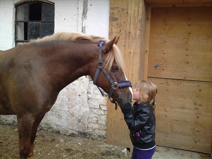 Anden særlig race Laban >Solgt< - 11) Cecilie og Laban <3   Foto: Chilli Hansen billede 11