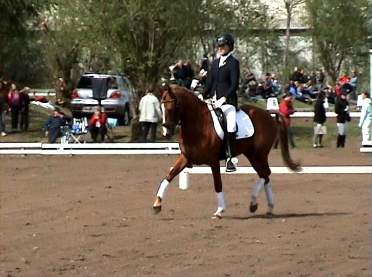 DSP Hedemands Aurora A-pony - Aurora Fredag i Morsø billede 18