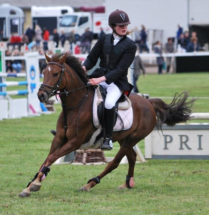 Anden særlig race Maarielunds Fairytale - Morsø 2010 billede 12
