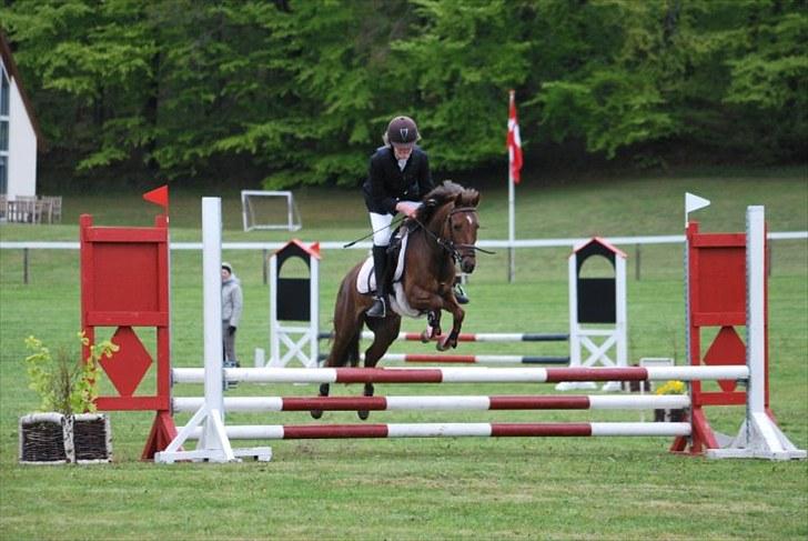 Anden særlig race Maarielunds Fairytale - Morsø 2010 billede 15