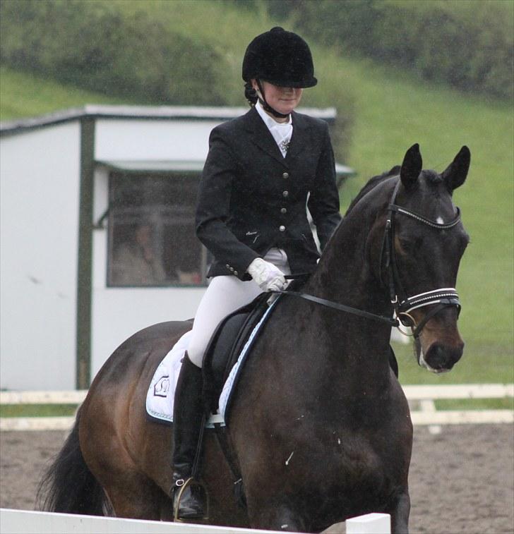 Holstener Licairo SOLGT billede 18