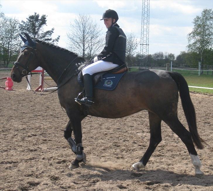 Anden særlig race Tacha af tofthøj mølle.  - Ørsted stævne 9. maj 2010 billede 5