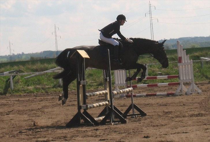 Anden særlig race Tacha af tofthøj mølle.  - LE - Ørsted stævne, vandt klassen 9. maj 2010 billede 6