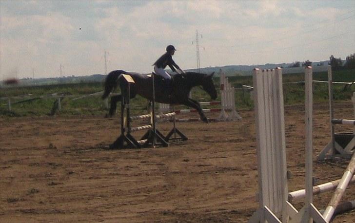 Anden særlig race Tacha af tofthøj mølle.  - LE - Ørsted stævne vandt 9. maj 2010 billede 7