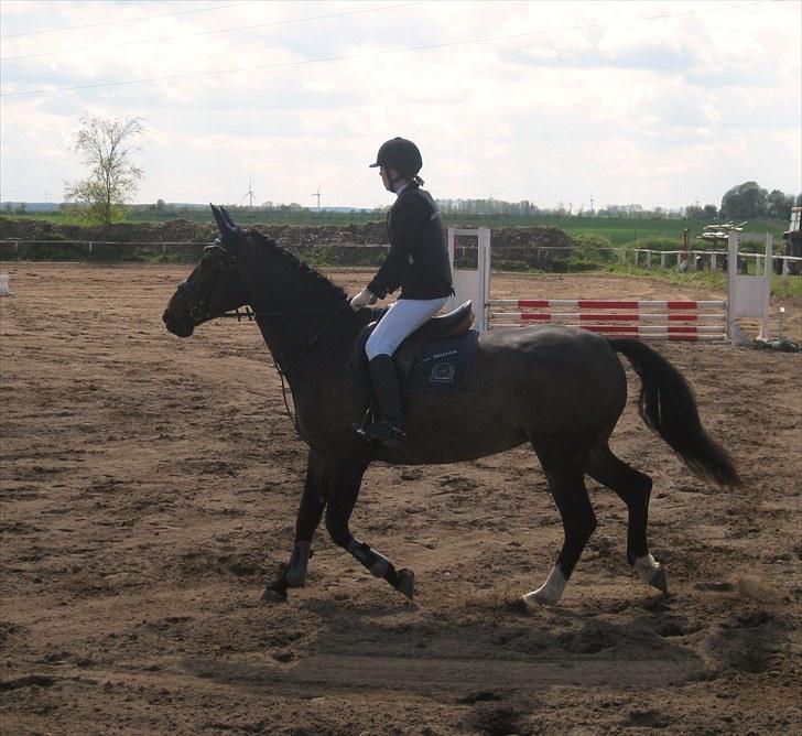 Anden særlig race Tacha af tofthøj mølle.  - 9. maj 2010 billede 8