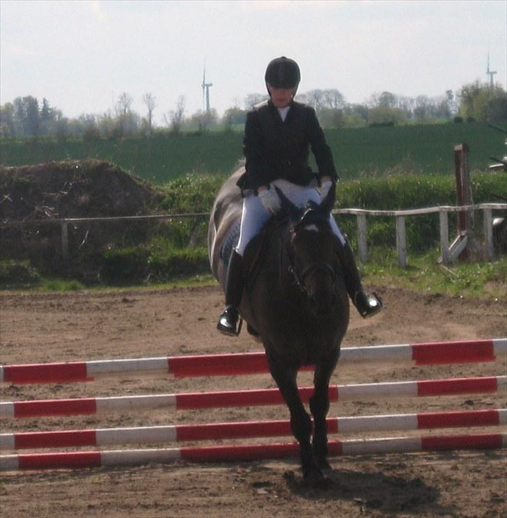 Anden særlig race Tacha af tofthøj mølle.  - 9. maj 2010 billede 9