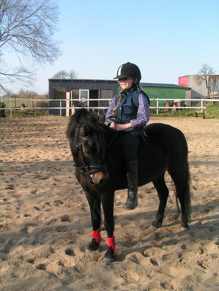 Dartmoor Anc-Neu Eri  - Sara elsker at skridte af uden sadel billede 13