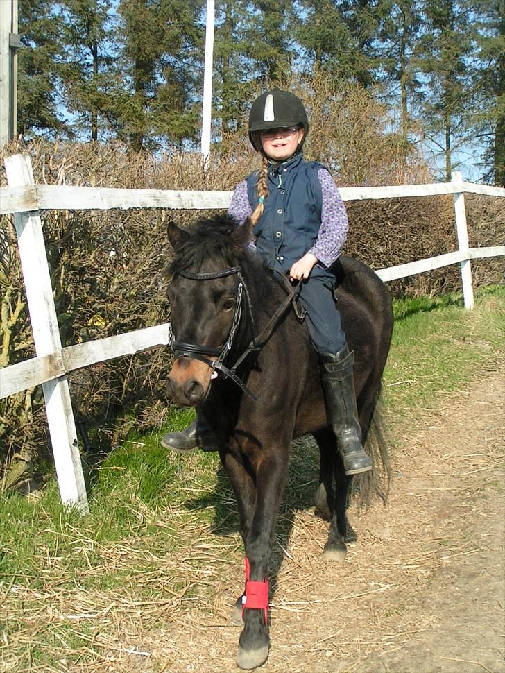 Dartmoor Anc-Neu Eri  billede 18