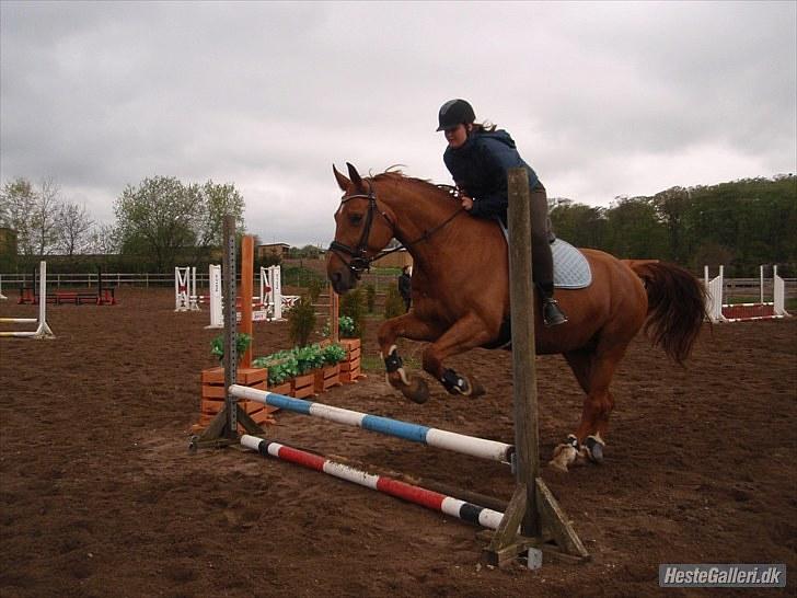 Anden særlig race Mia - <3 Himmelhest <3 - FHL FOTO. Spring 13. maj 2010 billede 10